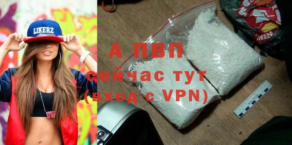 ECSTASY Балахна