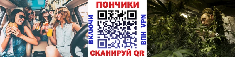 Марихуана индика  блэк спрут как войти  Курильск 